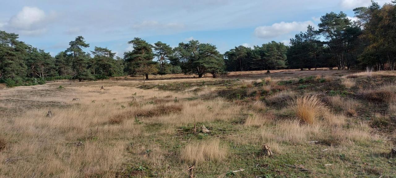 Chalet Wanama. Gelegen Op Het Vakantiepark Het Lierderholt Op De Veluwe. Villa Beekbergen Kültér fotó
